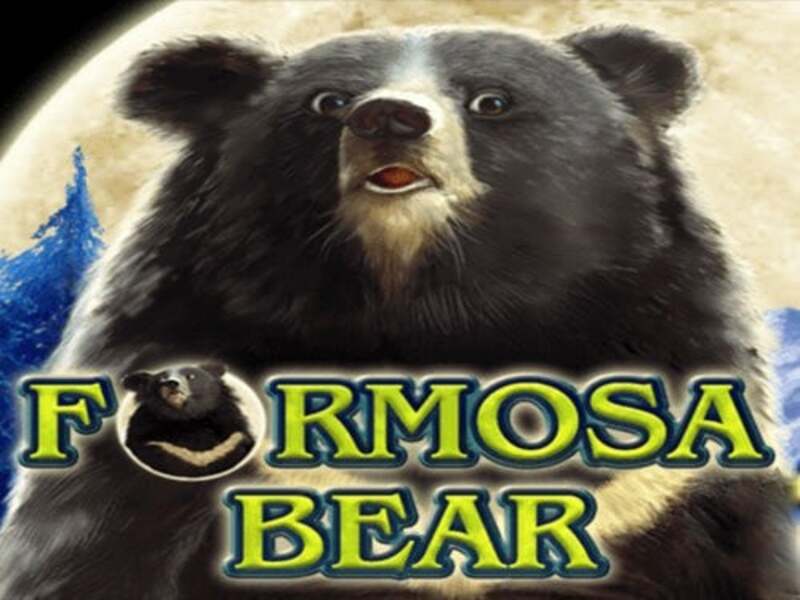Formosa Bear